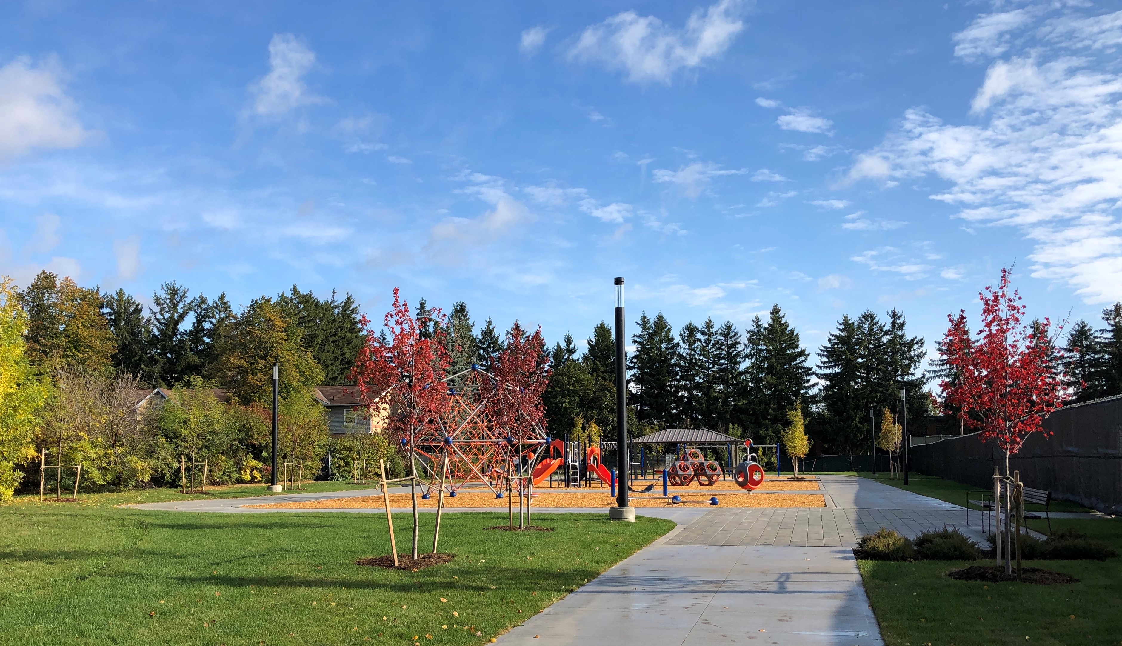 Murray Street Park Redevelopment